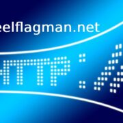 what is dreelflagman.net